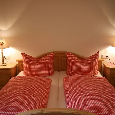 Hotel Almlust - Hotel, Apartments, Flachau