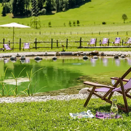 Almlust - Hotel, Apartments, Hotel Flachau