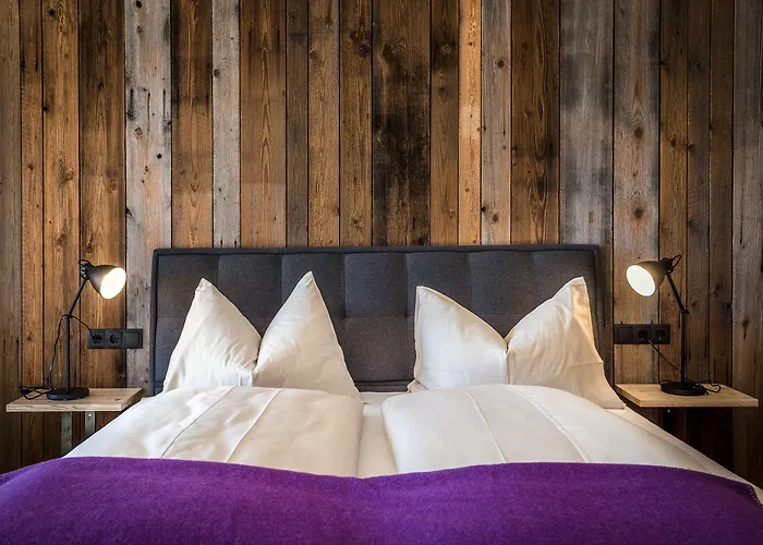 Hotel Almlust - Hotel, Apartments, Flachau